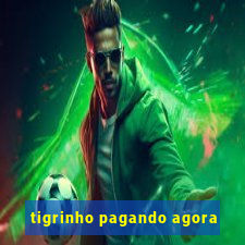 tigrinho pagando agora